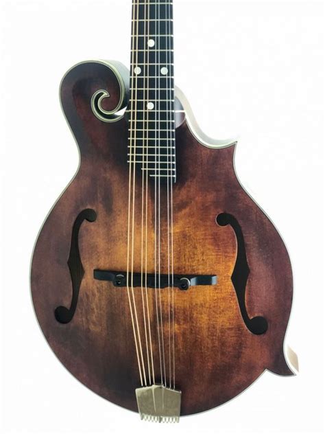 The mandolin store - Gibson – F5G – Updated Specs. $ 5,999.00. The F-5G is a Modern Collection version of Gibson’s iconic F-5 design. Tuned to the needs of modern mandolin players, its player-friendly specs include an unbound ebony fingerboard,a 14-degree fingerboard radius, no pickguard, and a short finger board extension. The neck …